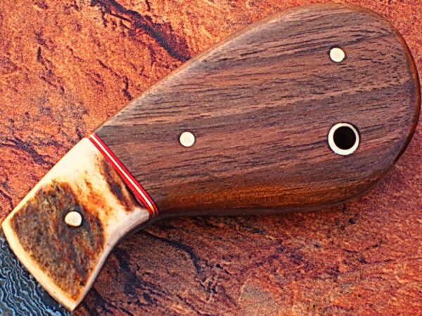 WHITE DEER Exclusive Damascus Steel Guthook Hunting Knife with Stag Antler