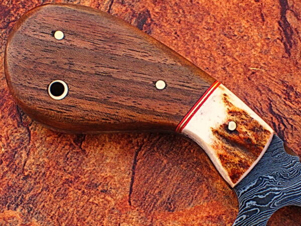 WHITE DEER Exclusive Damascus Steel Guthook Hunting Knife with Stag Antler