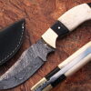 WHITE DEER Clip Point Damascus Steel Hunting Knife Buffalo Horn Handle