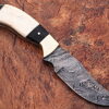 WHITE DEER Clip Point Damascus Steel Hunting Knife Buffalo Horn Handle