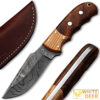White Deer Rosewood & Olive-Wood Classic Damascus Skinner Limited Edition
