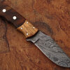White Deer Rosewood & Olive-Wood Classic Damascus Skinner Limited Edition