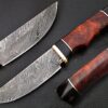 White Deer Rebel Komrad Damascus Knife Custom Walnut Hardwood Handle