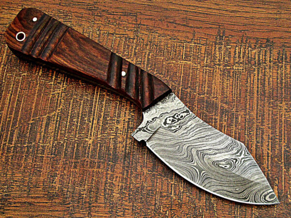 WHITE DEER SPEY BLADE Damascus Steel Hunting Skinner Knife Cocobolo Hardwood Handle