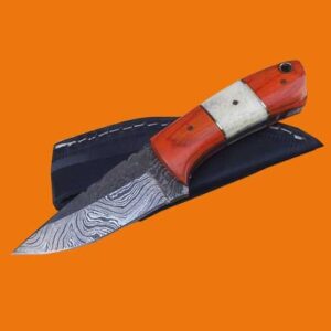 Damascus Steel Skinner Knife (Pakka Wood Handle)