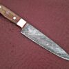 White Deer Forged Paring Knife Pro Chef Cutlery Damascus Steel 1095 HC