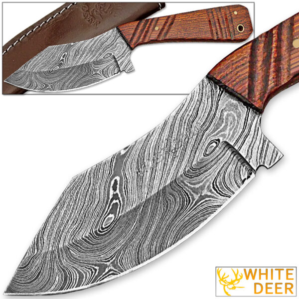 WHITE DEER SPEY BLADE Damascus Steel Hunting Skinner Knife Cocobolo Hardwood Handle