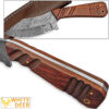 WHITE DEER SPEY BLADE Damascus Steel Hunting Skinner Knife Cocobolo Hardwood Handle