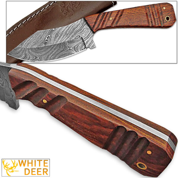 WHITE DEER SPEY BLADE Damascus Steel Hunting Skinner Knife Cocobolo Hardwood Handle