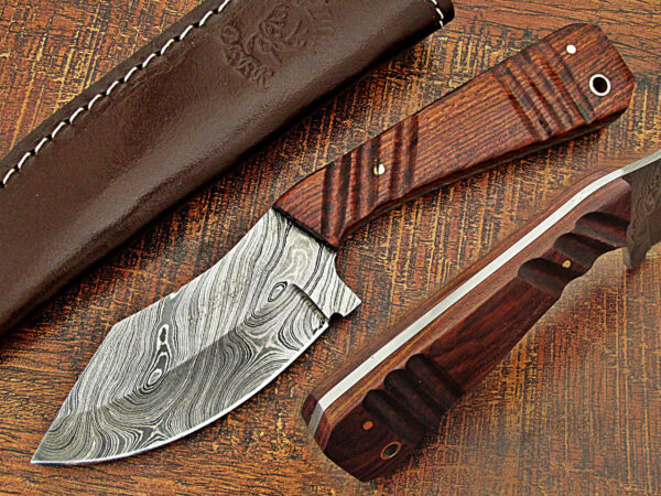 WHITE DEER SPEY BLADE Damascus Steel Hunting Skinner Knife Cocobolo Hardwood Handle